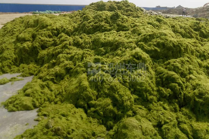 牧草烘干機(jī)如何科學(xué)選型？牧草烘干過程中營養(yǎng)成分會流失嗎