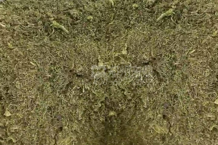 牧草烘干機(jī)如何科學(xué)選型？牧草烘干過程中營養(yǎng)成分會流失嗎