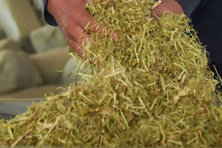 生物質(zhì)烘干機廠家鄭州東鼎干燥開發(fā)了大型檸條烘干機成套設(shè)備，實現(xiàn)了檸條資源規(guī)?；弥贰?></div>
                                                <div   id=